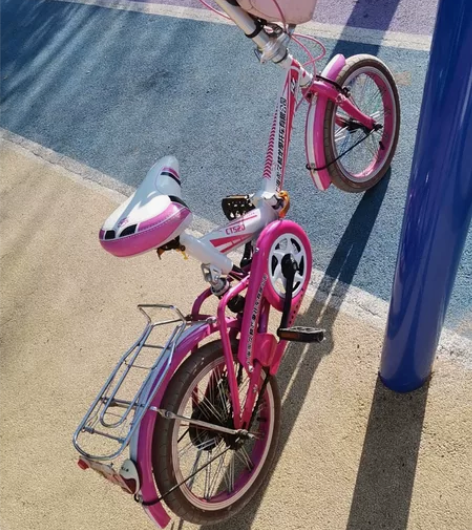 折叠自行车。新旧如图。金色欧城附近自提 感...