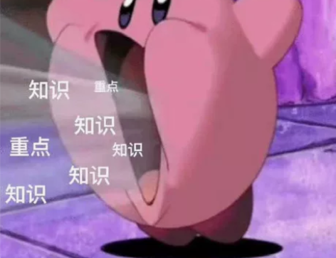 留学生 R语言  python  matl...