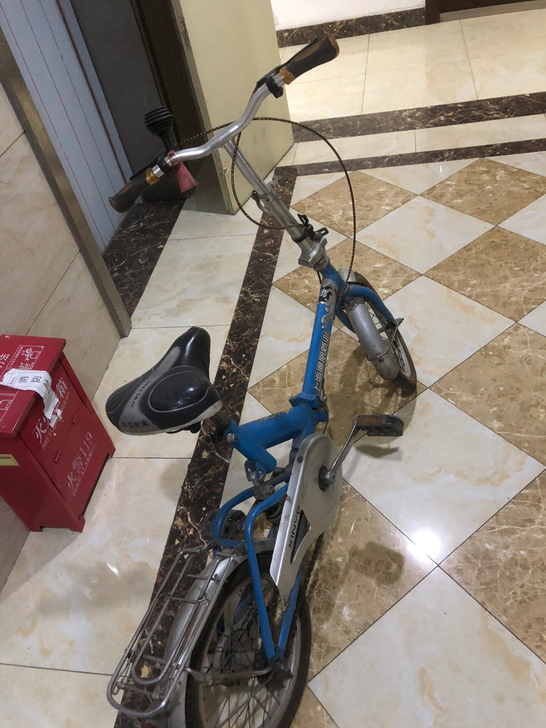 凤凰 自行车