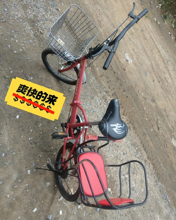 折叠自行车,带小娃座椅。