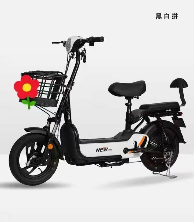 全新新国标电动自行车新款电动车锂电池国标车...