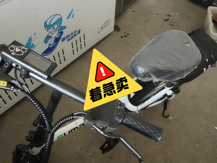 德国名顶电动车折叠车，代驾折叠车