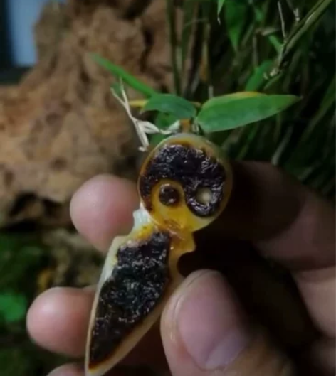 和田玉山流水红沁皮运转乾坤一往无前吊坠，自...