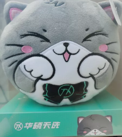 华硕天选猫老师颈枕 全新 感兴趣的话点“...