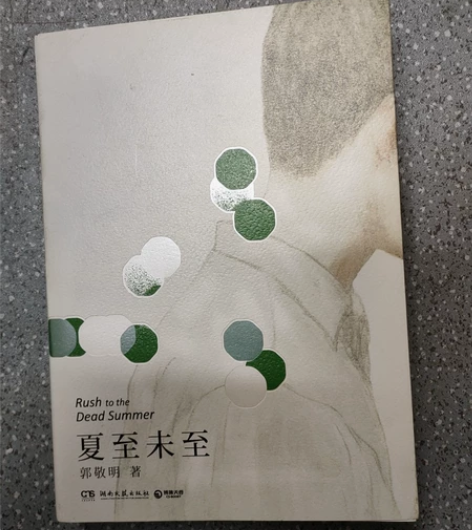 fl全新正版:夏至未至郭敬明湖南文艺出版社...
