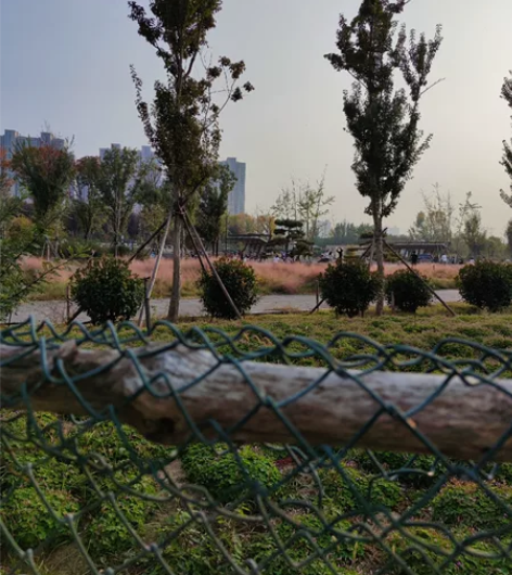 红米k50至尊版 8+256，黑色，全新 ...