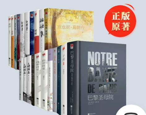 巴黎圣母院 巴黎圣母院论语正版丨高中生课外...