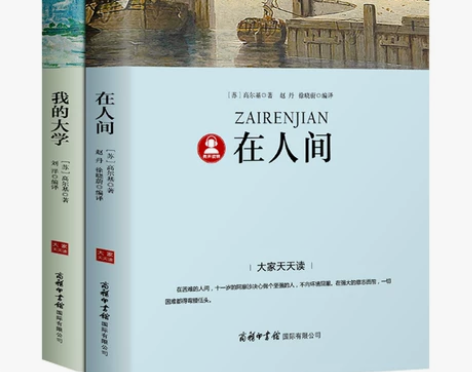 在人间和我的大学书正版高尔基三部曲注解+导...