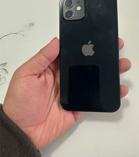 自用 12国行256 黑色 电池81 小磕...