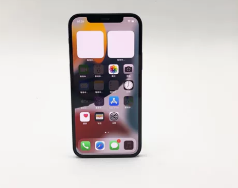 95新Apple/苹果 iPhone 12...