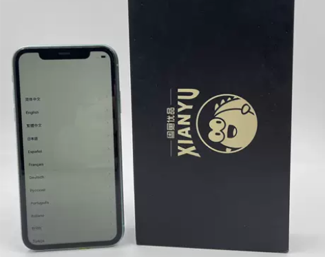 Apple/苹果 苹果 iPhone 11...