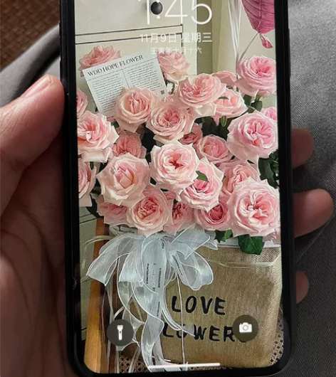 女孩子自用机苹果11 64g 直插卡使用 ...