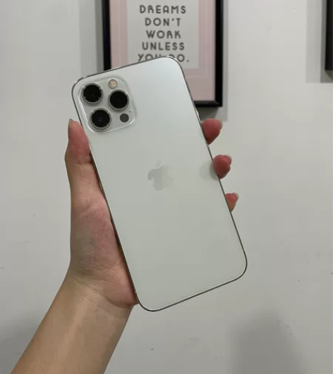 98新 12ProMax 256G 走平台...