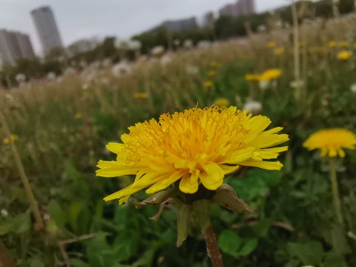 数学，100个函数动态图像，需要的私