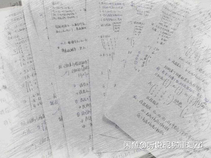 期末补考必过 线性代数半天速成 线性代数半...