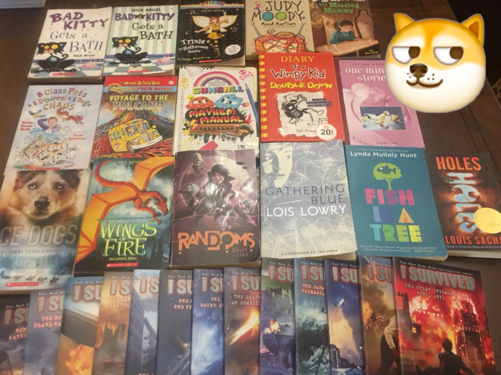 原版英文书，纸质正版，让孩子体会阅读的乐趣...