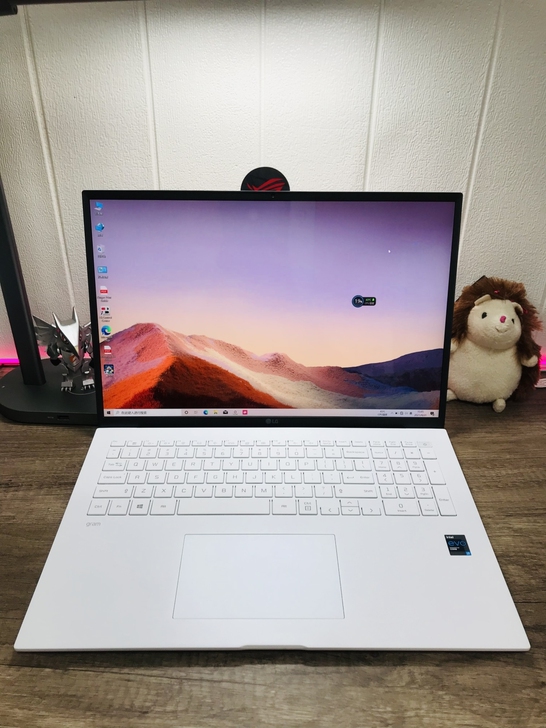 LG gram 2021款i7-1165G...