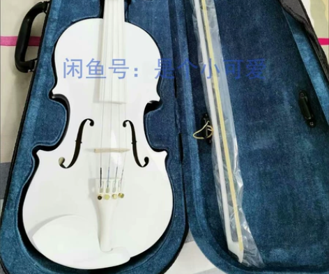 【捡漏琴行原300多小提琴清仓处理】送全套...