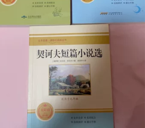 初三（九年级）课外阅读书籍，《泰戈尔诗集》...