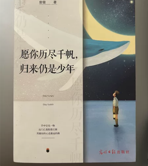 励志文学小说，很好看，一口气看完了 《愿你...