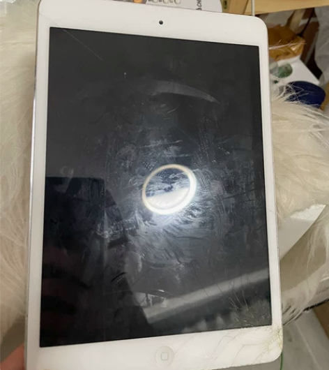 iPad mini 最早之前朋友送的 不是...
