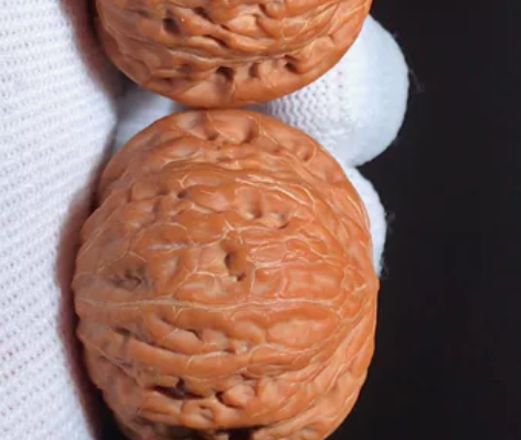 [39铁锤妹妹]  下树40，超级精品，皮...