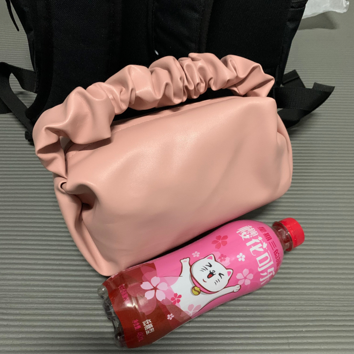 2021秋季新款云朵包拎包手拿包出差包女