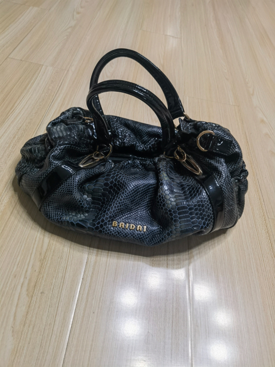 拎包女 纯皮
