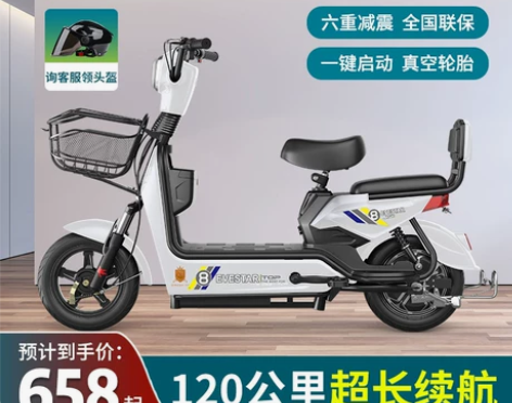 新国标电动自行车可上牌照成人电瓶车