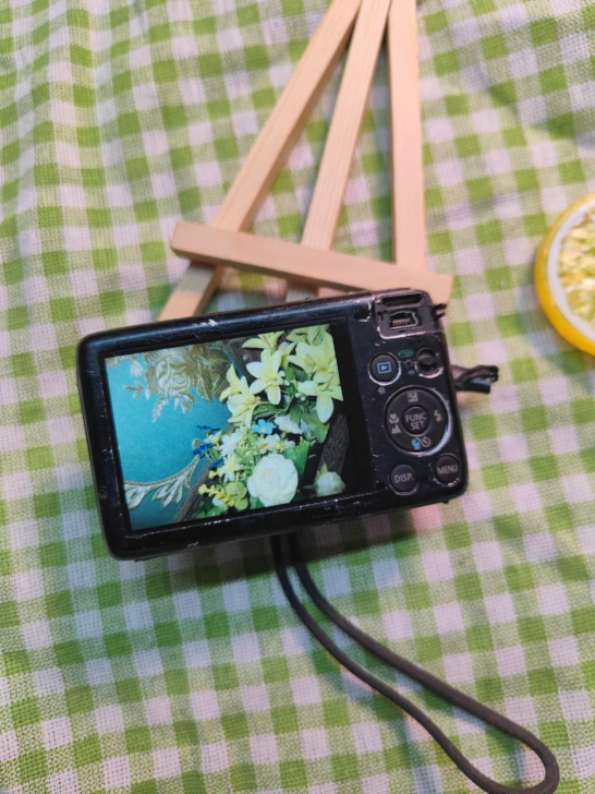 佳能ixus130is   ‖348