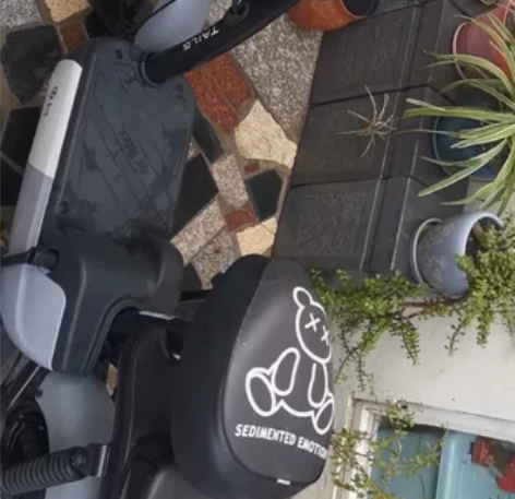 九成新台铃电动车，去年秋季开学买的，小孩子...