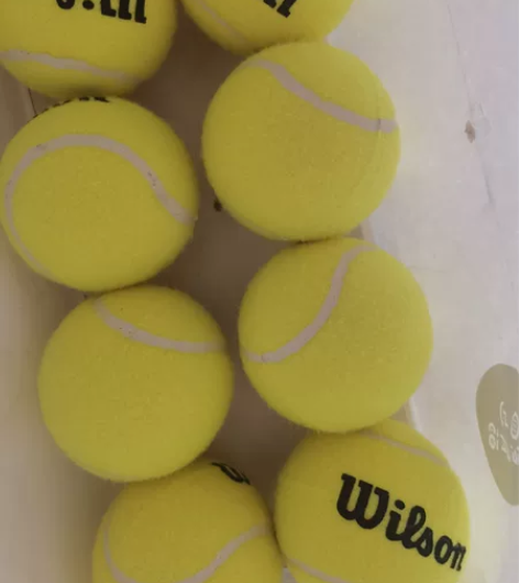 Wilson威尔胜初学练习、比赛用网球 8...