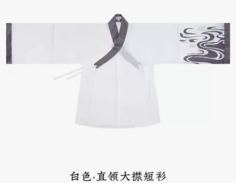 重回汉唐雷令宋制汉服男直领大襟短衫裙原创正...