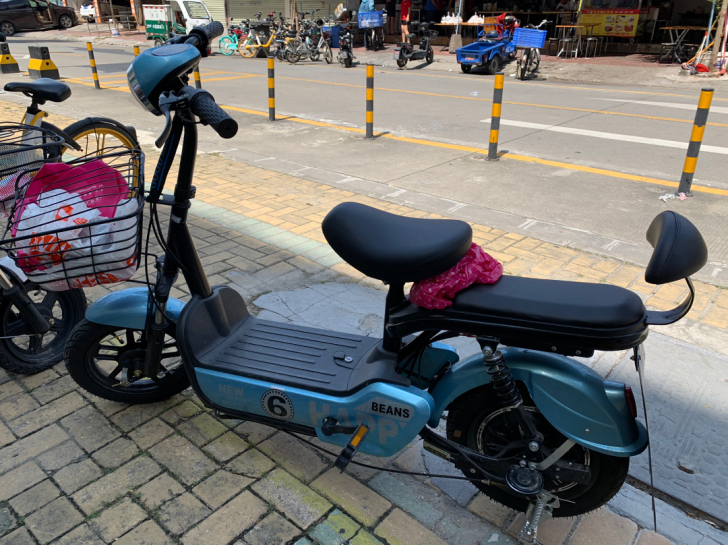 尼迅（运动户外） 电动自行车