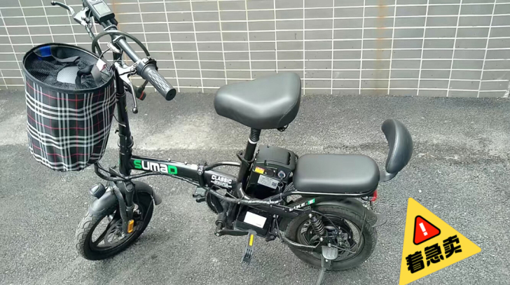 【特价厂销】折叠电动车德国名顶电动车成人代...