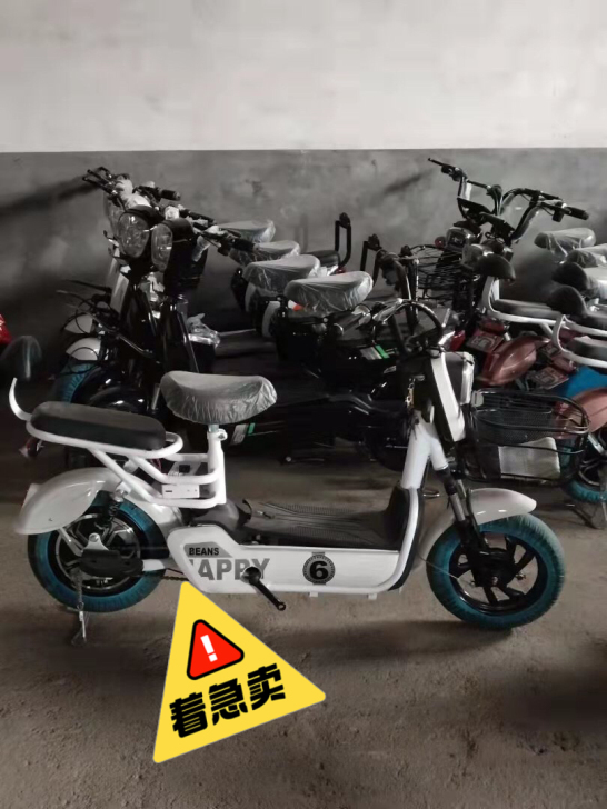 （全新包邮） 新国标电动车厂家直销电瓶车电...