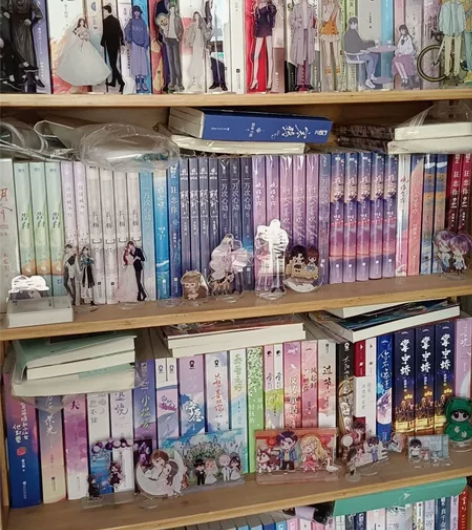 出闲置小说 青春文学 正版 保存完好 ...