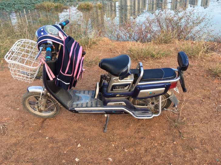 电动车新国标电瓶48V小型代步助力电单车女...