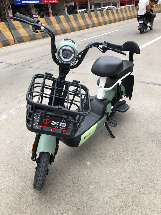 台铃小彩豆1399