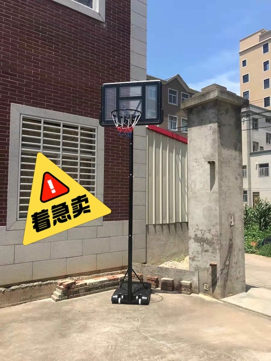 全新成人标准高度青少年球架可升降3.05米...