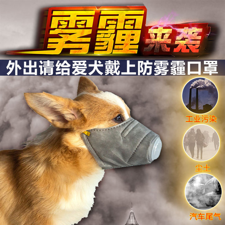 GETPET/德聪 嘴套