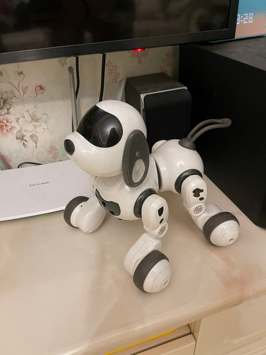 闲置玩具 低价出售 小狗有一条腿有点问题 ...