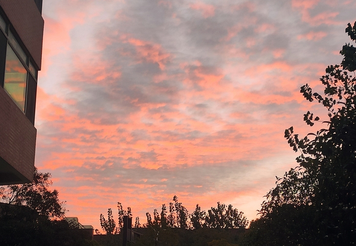 ccd卡片机 数码摄像机 适合摄影爱好者