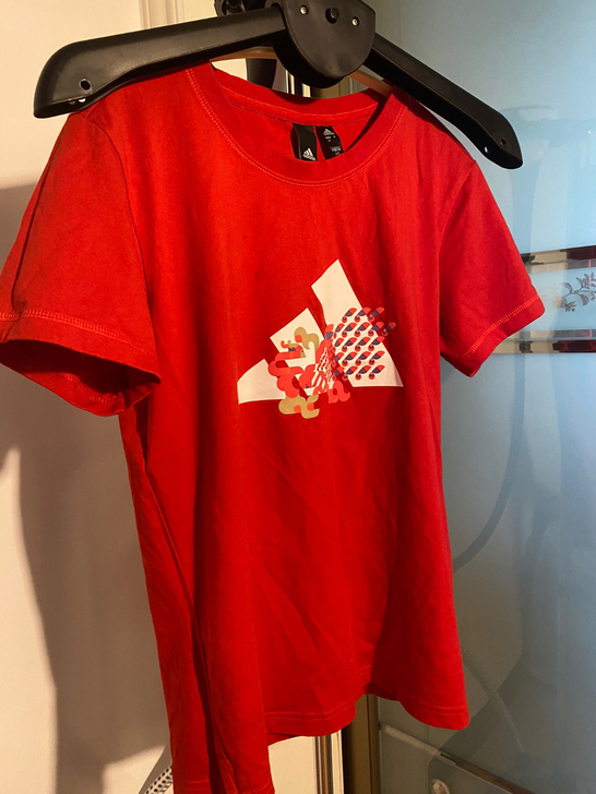 阿迪达斯t恤,单位组织活动统一购买,一套好...