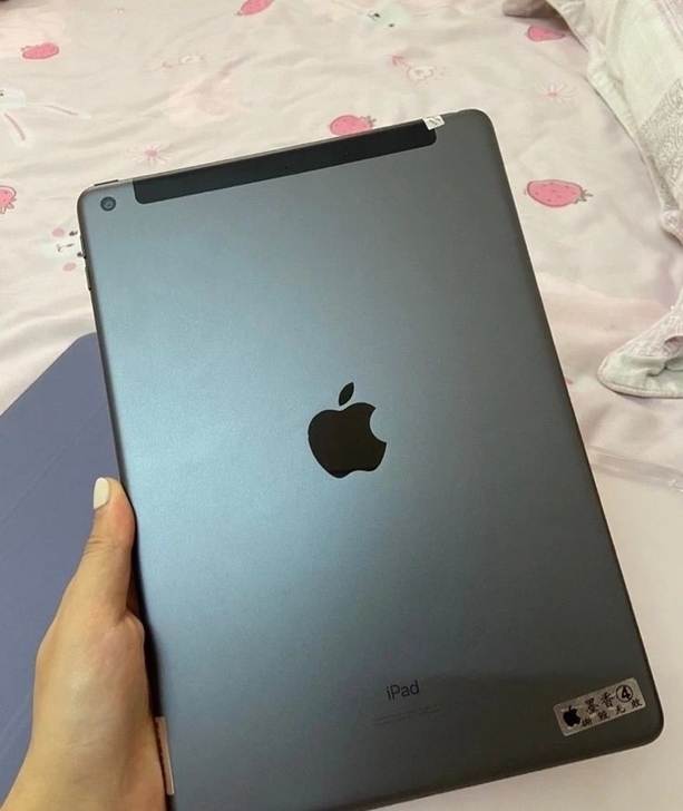 苹果 ipad 所有型号 都有游戏，网课必...
