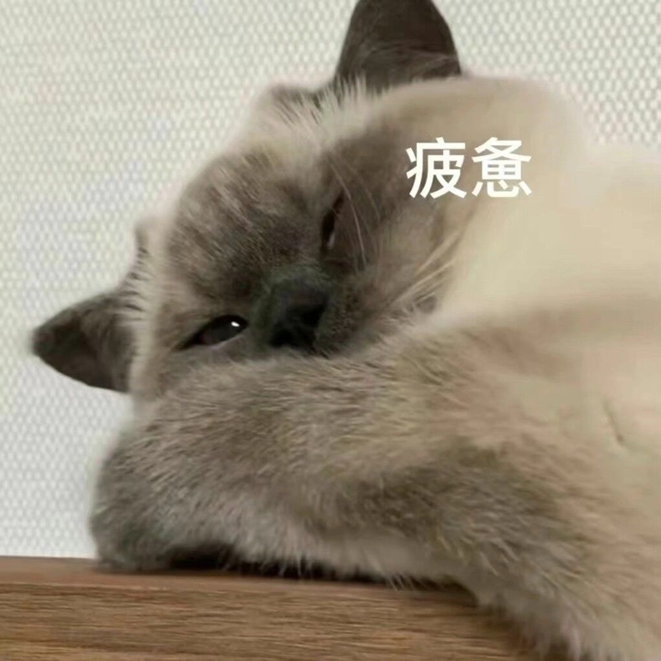 想收一台iPad考研用，希望机器可以用久一...