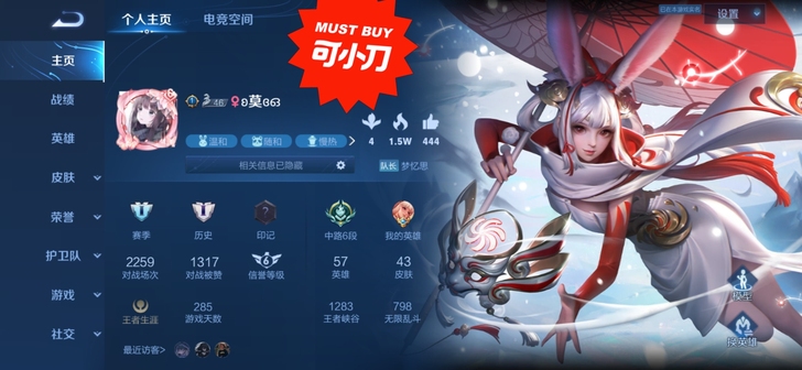 王者荣耀QQ号法师皮肤多可自行观看