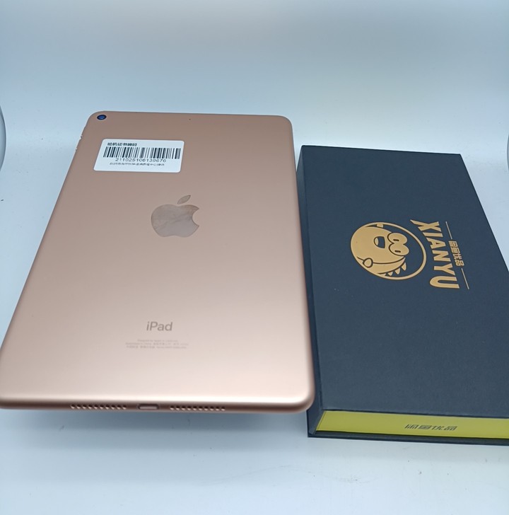 9新苹果 2019新款iPad Mini ...