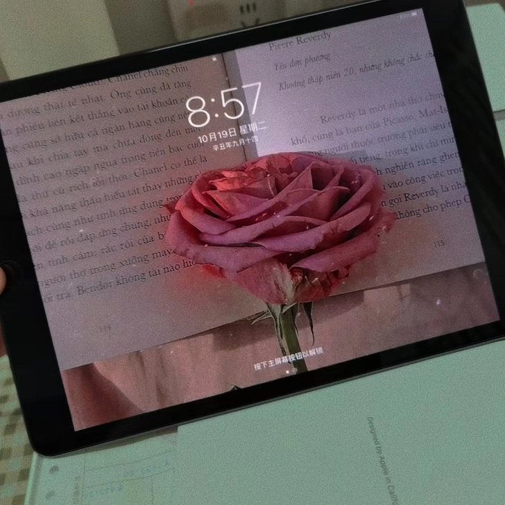 ipadpro学生自用二手苹果平板办公画画...