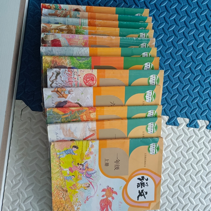 语文书1-6年级,一共12本,有的很好,有...